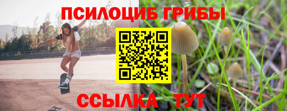 Псилоцибиновые грибы Psilocybe Выкса