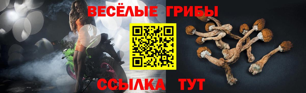 Псилоцибиновые грибы Psilocybe  Вход с VPN  закладка  Выкса 
